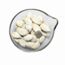 Venta al por mayor de semillas de calabaza blanca como la nieve Semilla de calabaza blanca 13 mm bocadillos